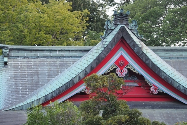 ZA037541.jpg
