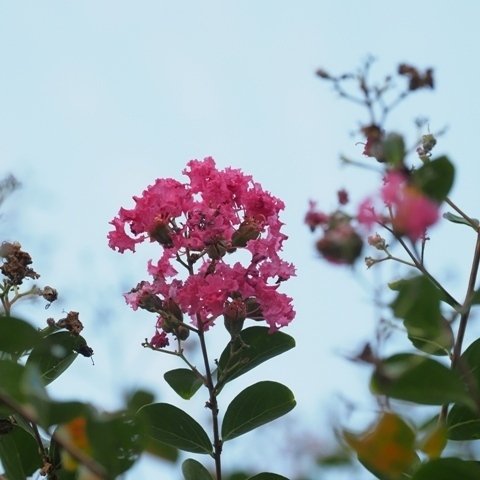 ZA107761.jpg