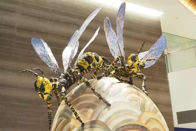 ZA107777.jpg