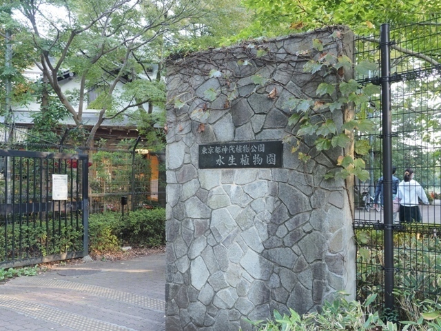 ZA248459.jpg