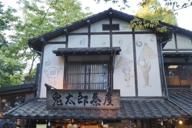 ZA248474.jpg