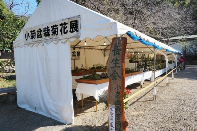ZA308586.jpg