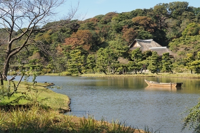 ZA308599.jpg