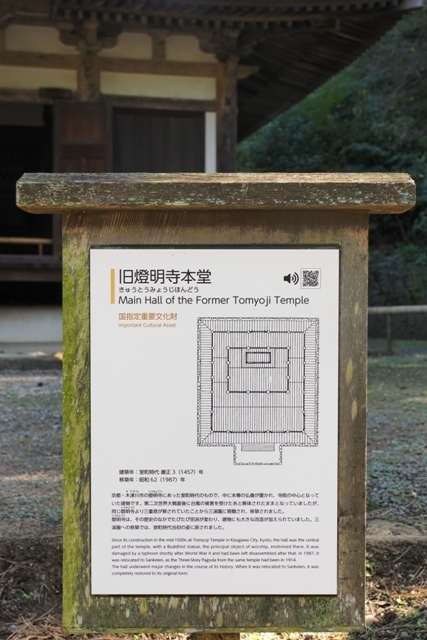 ZA308610.jpg