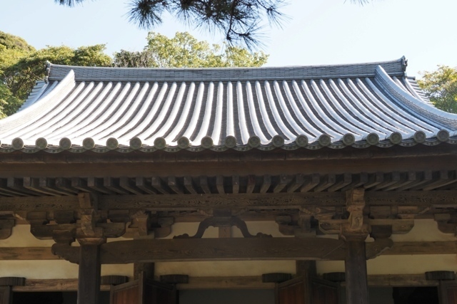 ZA308612.jpg