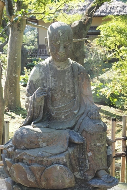 ZA308621.jpg