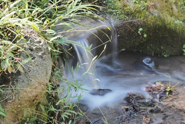 ZA308623.jpg