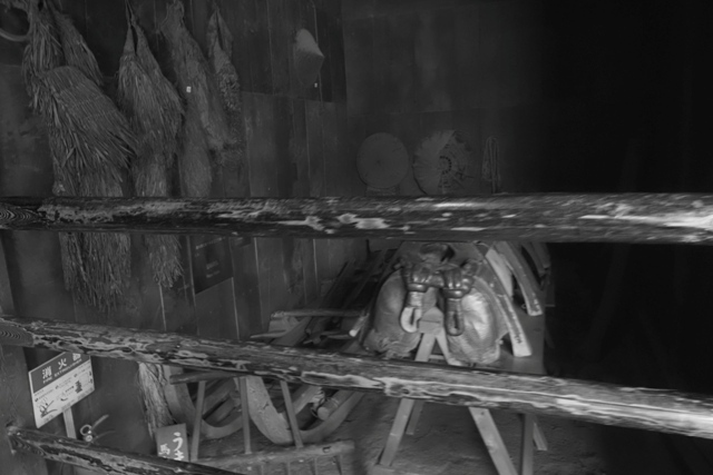 ZA308631.jpg