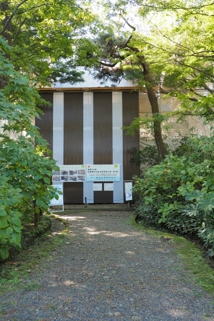 ZA308670.jpg