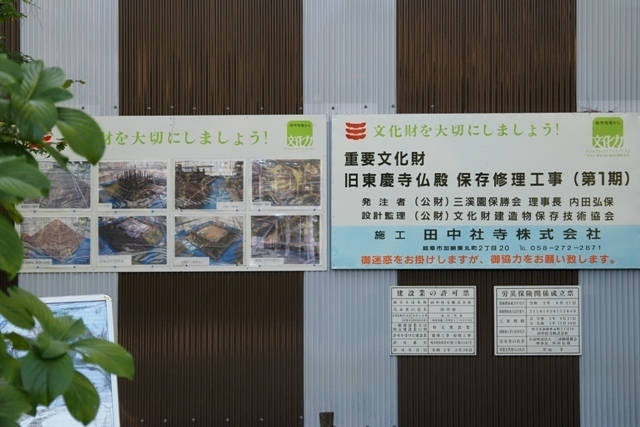 ZA308671.jpg