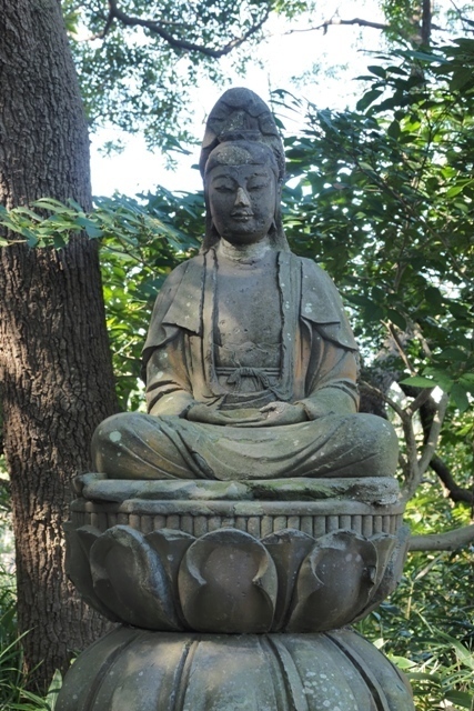 ZA308701.jpg