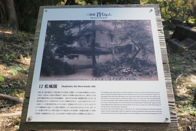 ZA308705.jpg