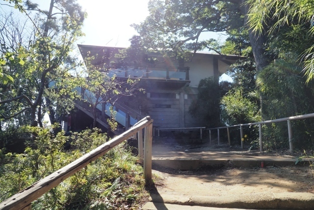ZA308707.jpg