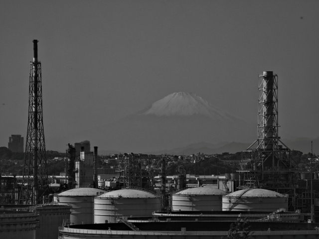 ZA308720.jpg