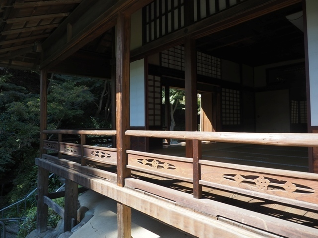 ZA308755.jpg