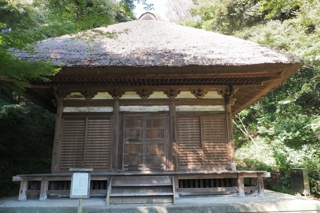 ZA308763.jpg