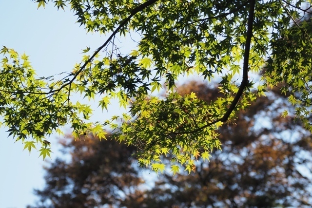 ZA308765.jpg