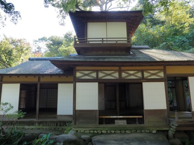 ZA308773.jpg