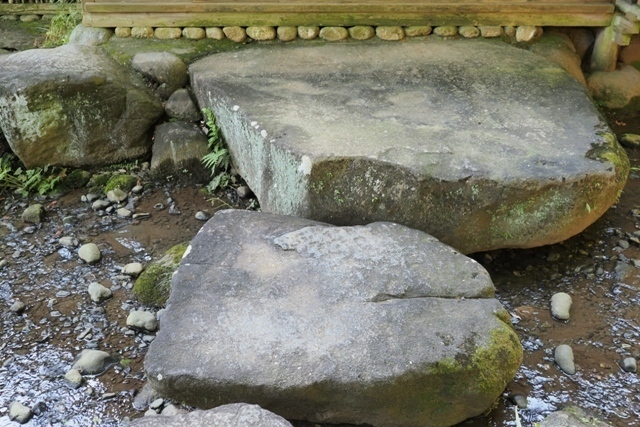 ZA308781.jpg