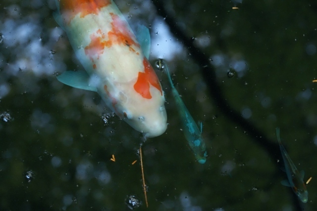 ZB169851.jpg