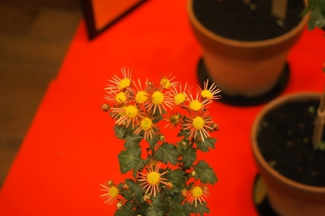 ZB228968.jpg