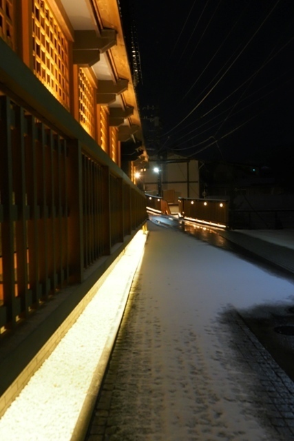 ZB270462.jpg