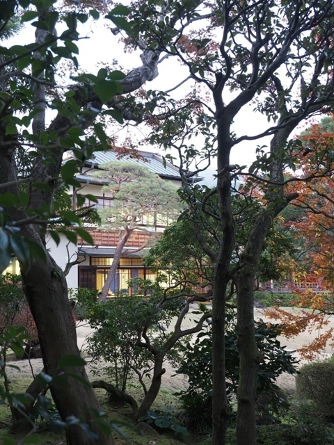ZC120219.jpg
