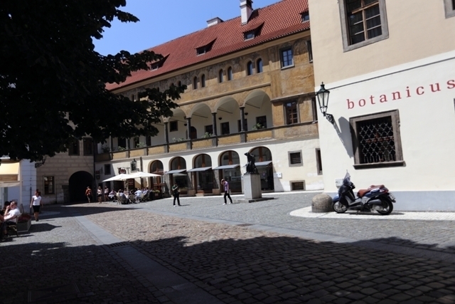 IMG_4436.JPG