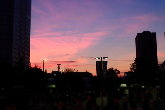 P7250116.jpg