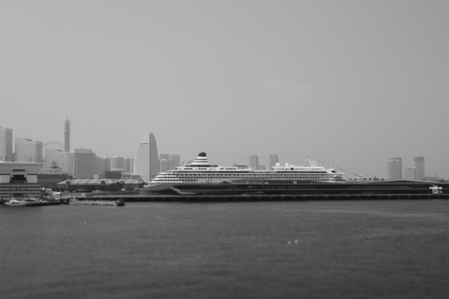 P8010104.jpg
