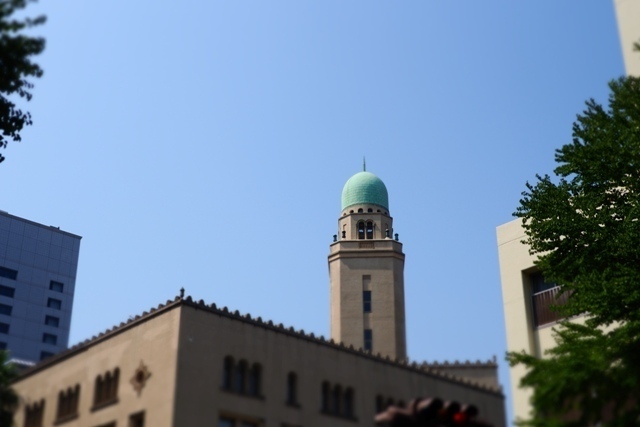 P8010160.jpg