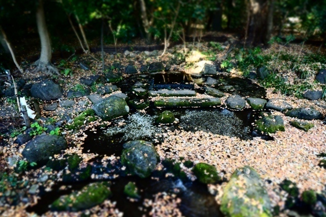 PC040100.jpg