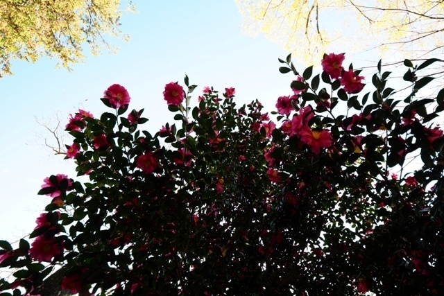 PC040106.jpg