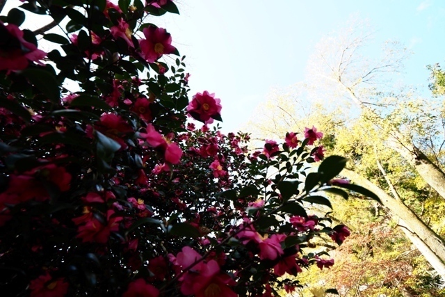 PC040109.jpg