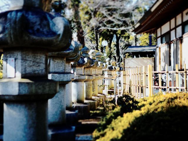 _1283181_2.jpg