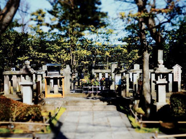 _1283183_2.jpg