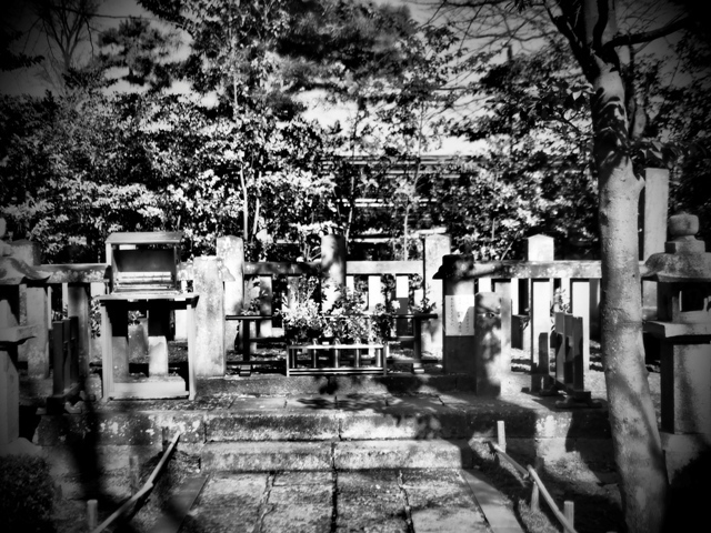 _1283191.jpg