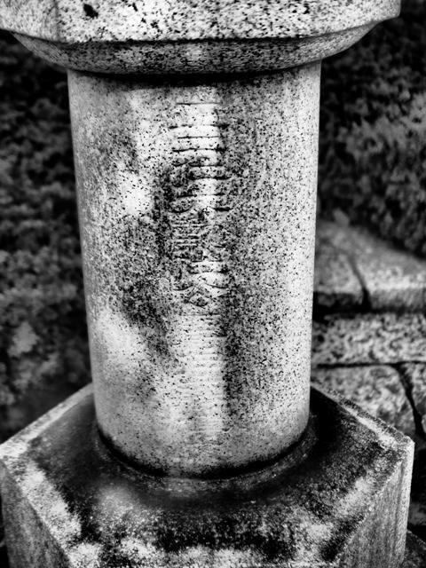 _1283195_2.jpg
