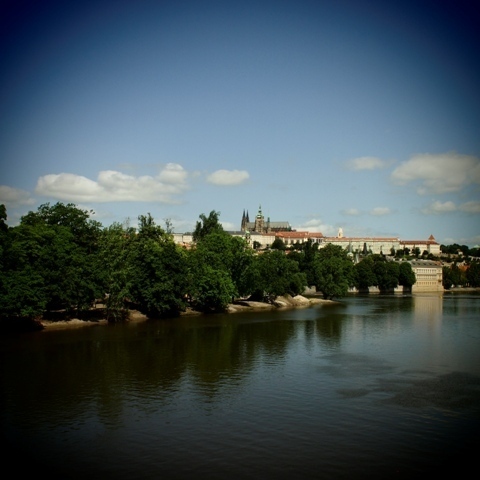 _6210680.jpg