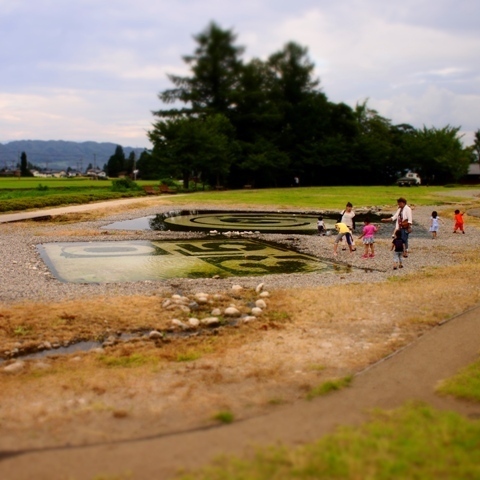_8020058.jpg