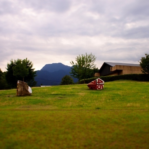 _8020059.jpg