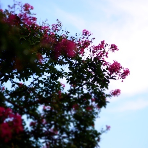 _8220083.jpg