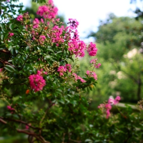 _8220085.jpg
