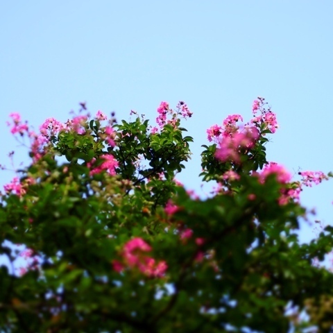 _8220087.jpg