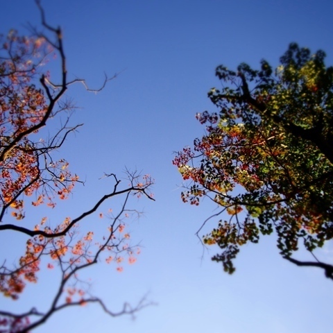 _A280167.jpg