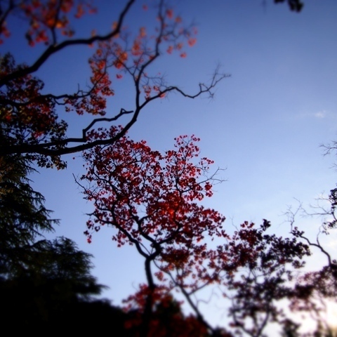 _A280168.jpg
