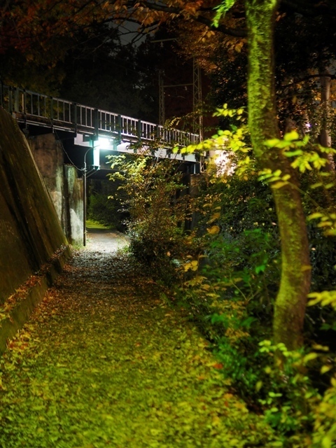 _B290147.jpg