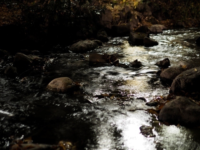 _B290170.jpg
