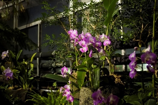 _C106820.jpg