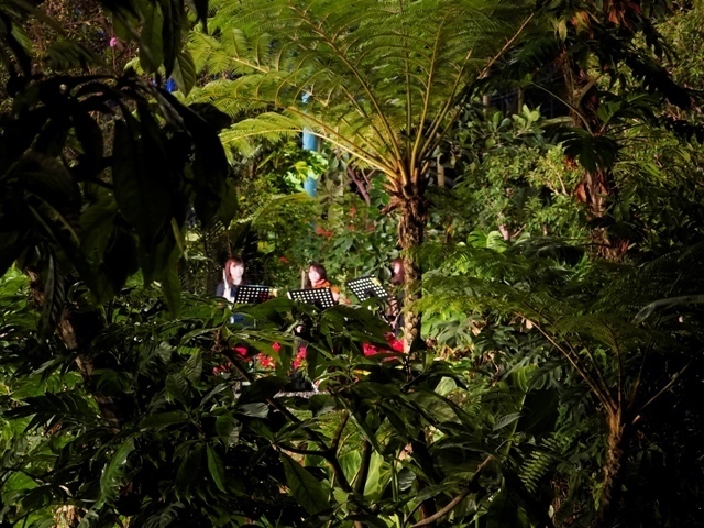 _C106857.jpg